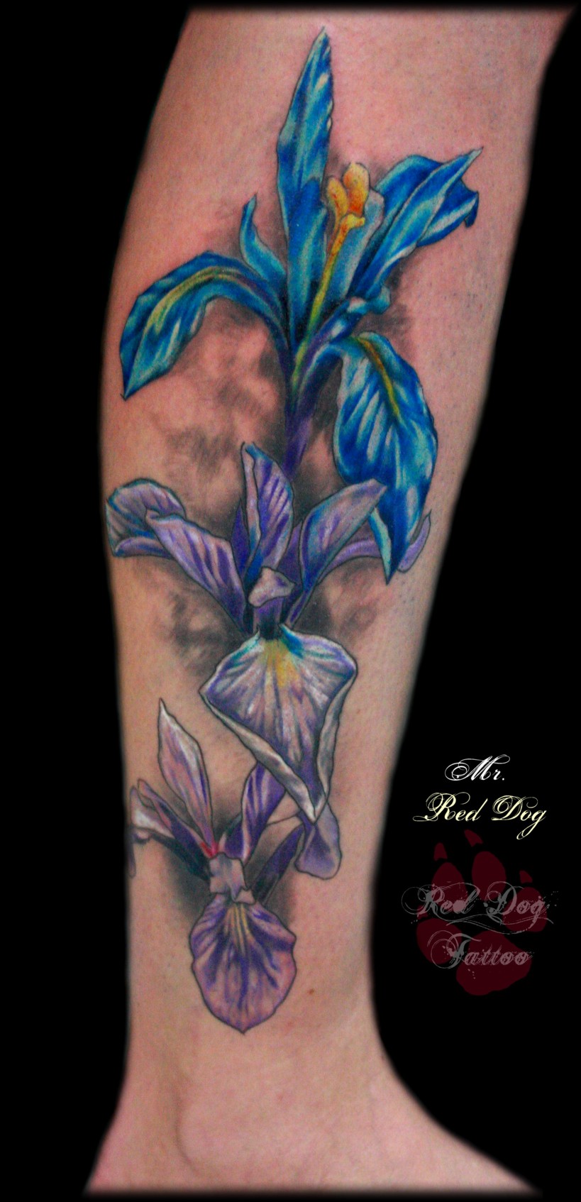 Iris tattoo