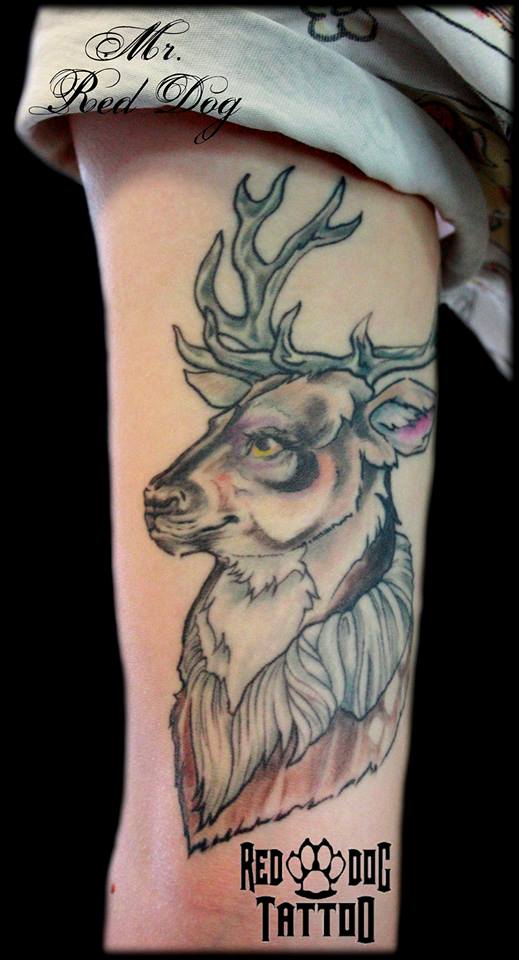 Healed Deer