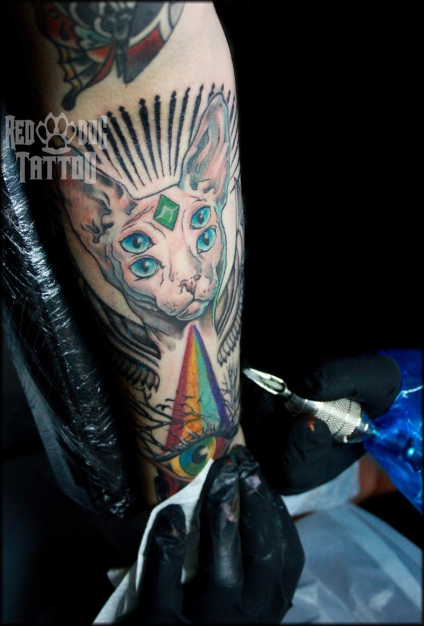 The amazing hairless cat tattoo