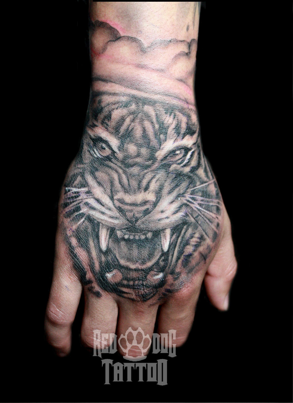 Tiger Hand Tattoo by Reddogtattoo on DeviantArt