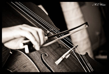 Cello 4