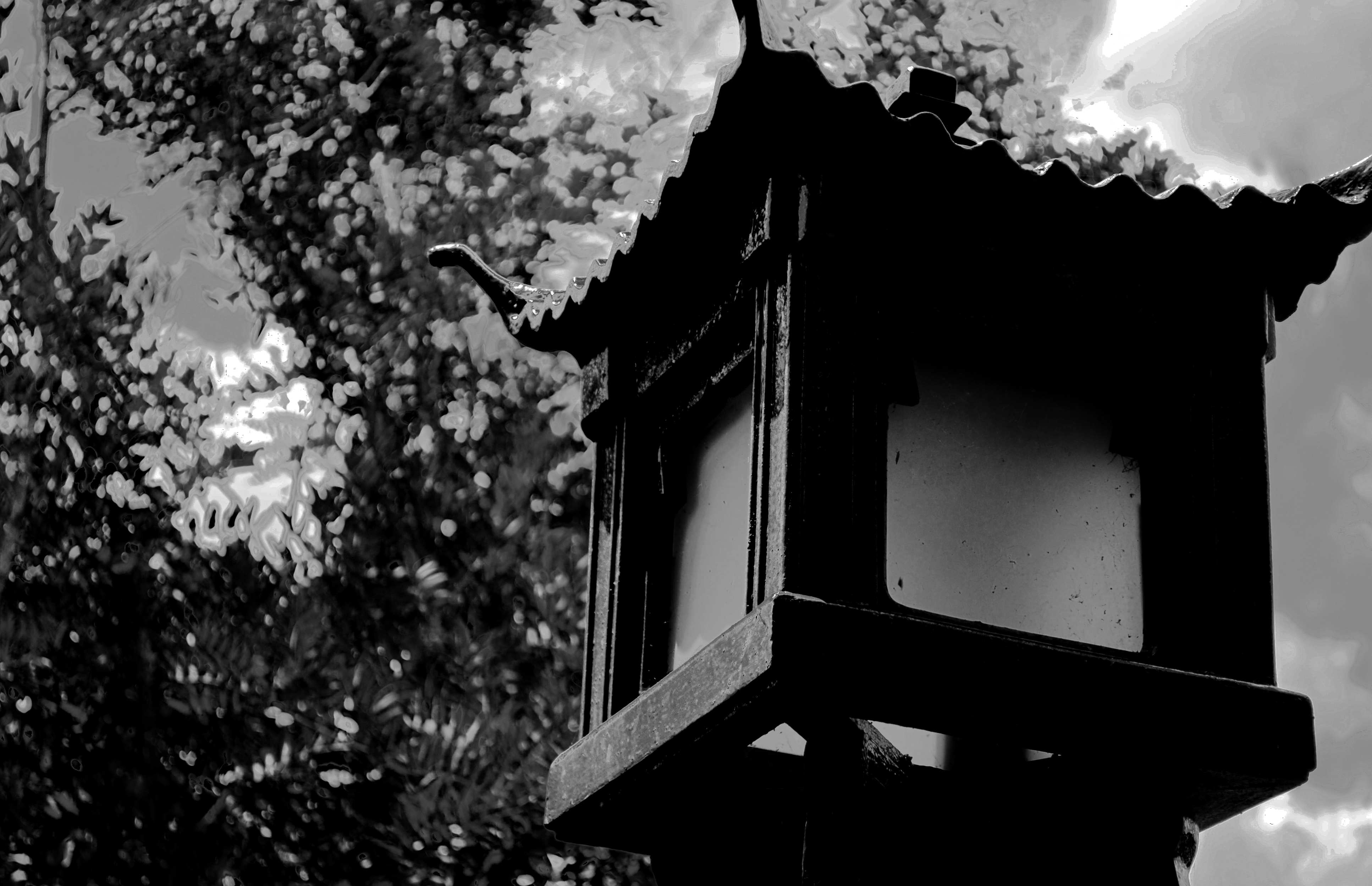 Chinese Lamp BW