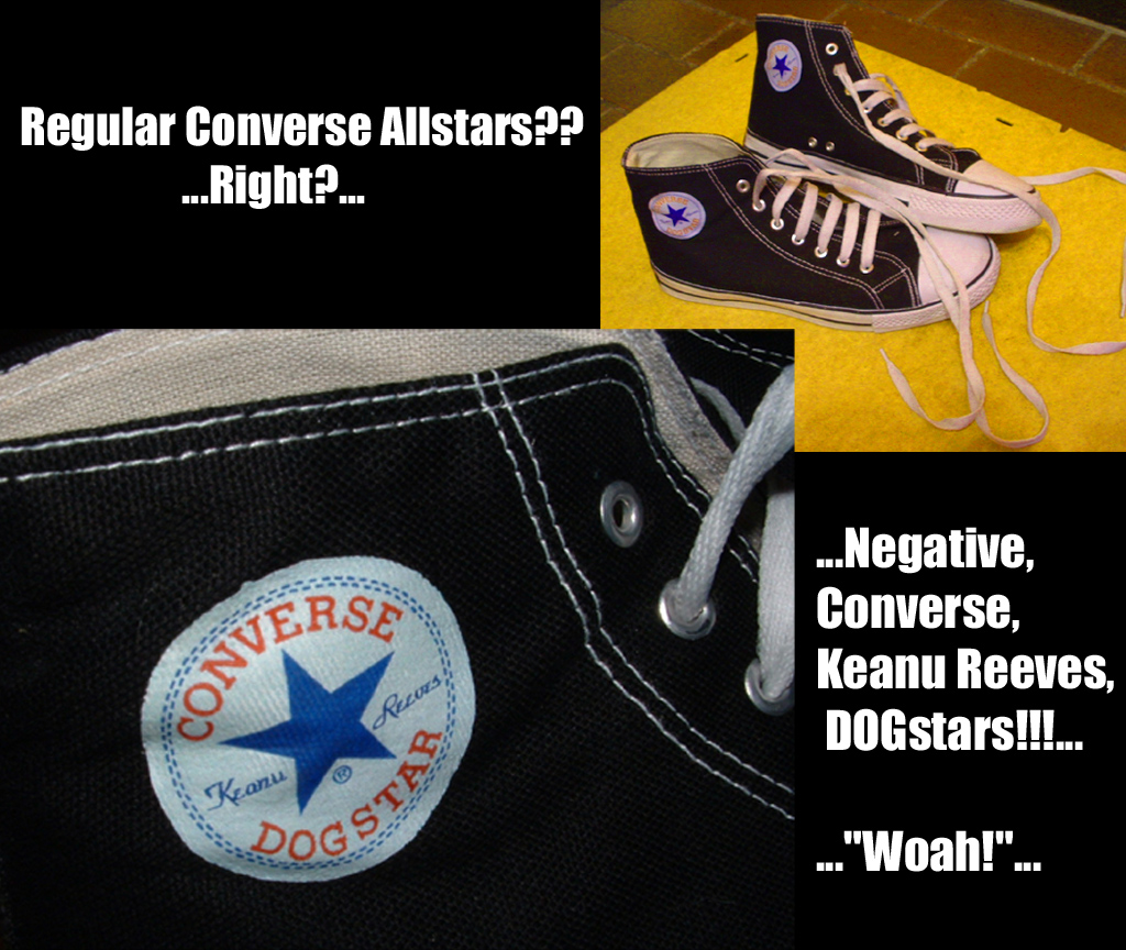 Converse DOGstars