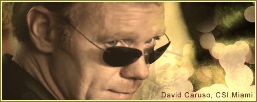 David Caruso CSI: Miami