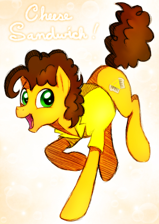 The Super Duper Party Pony!