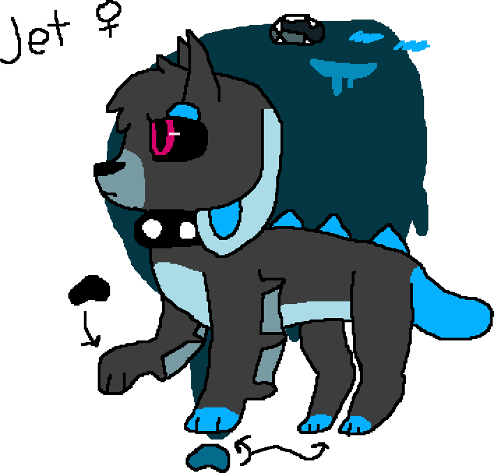 Jet Reference by SnowHuskii on DeviantArt