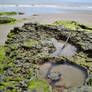 Pool at the sea