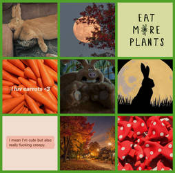 WG+StS: Fav Aardman Character Moodboards (by me)