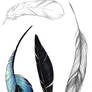 Feathers