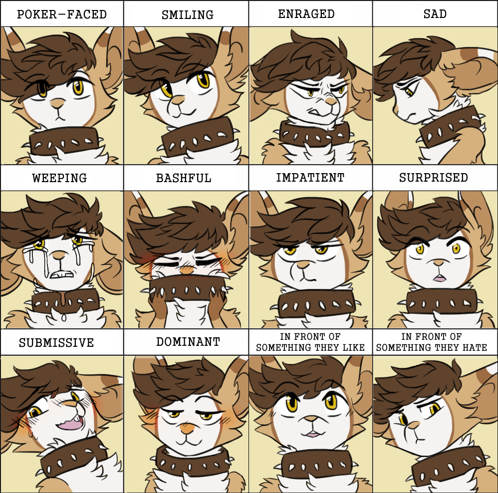 the many expressions of my tfm mouse