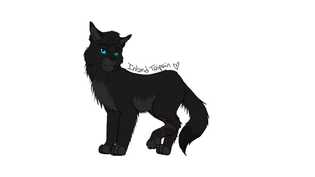 Draw Cinderpelt Challenge