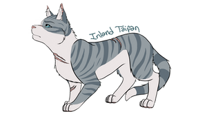 Draw Ivypool Challenge