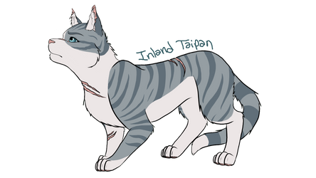 Draw Ivypool Challenge