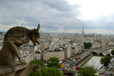 View from Notre Dame