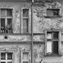 A very old version of Windows