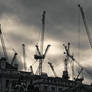 A Flock of Cranes