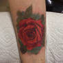 Rose tattoo nyc realistic healed wm