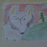 My wolf that i drew