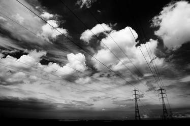 to run with cables and skies