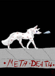 Meth is Death