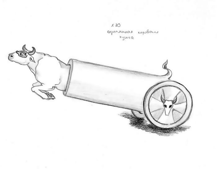 #30 Cow-cannon