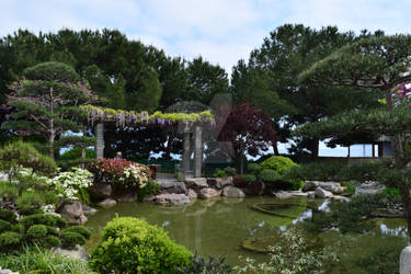 Japanese Garden 6