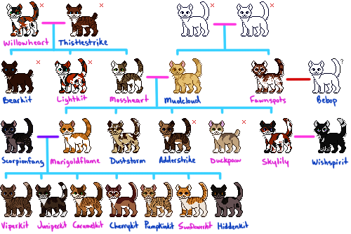 More or less accurate Warriors Cats Family Tree by mathes0n on DeviantArt