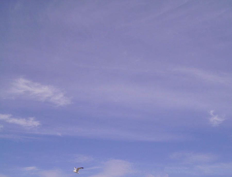 More horses in the sky by CapDon on DeviantArt