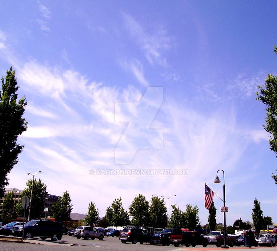 Phoenix rising by CapDon on DeviantArt