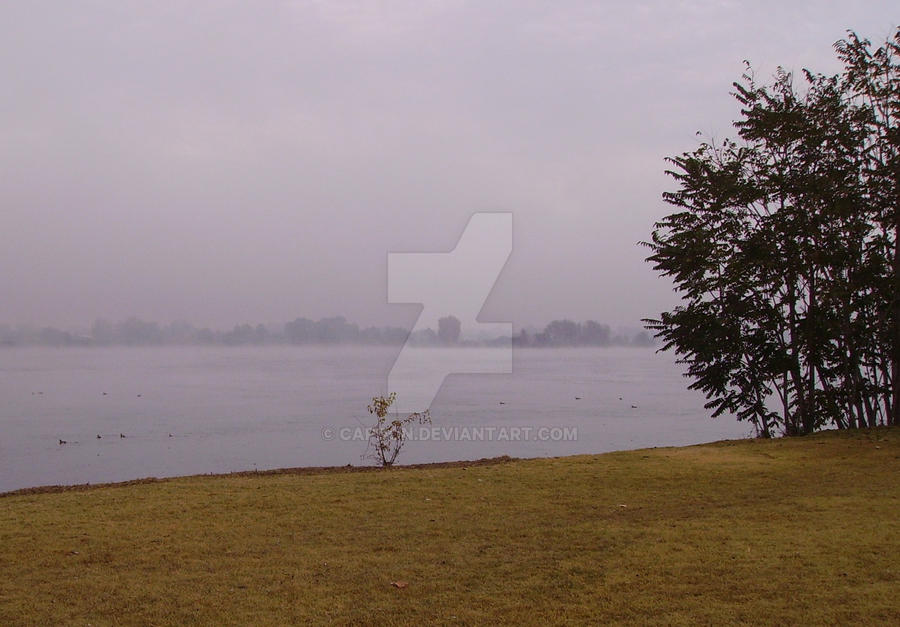 Duck Soup 1 by CapDon on DeviantArt