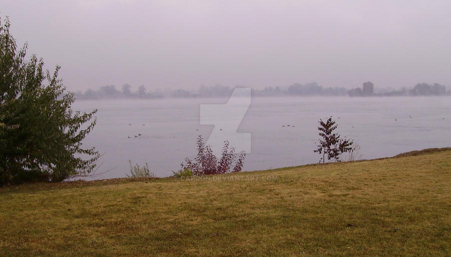 Duck Soup 2 by CapDon on DeviantArt