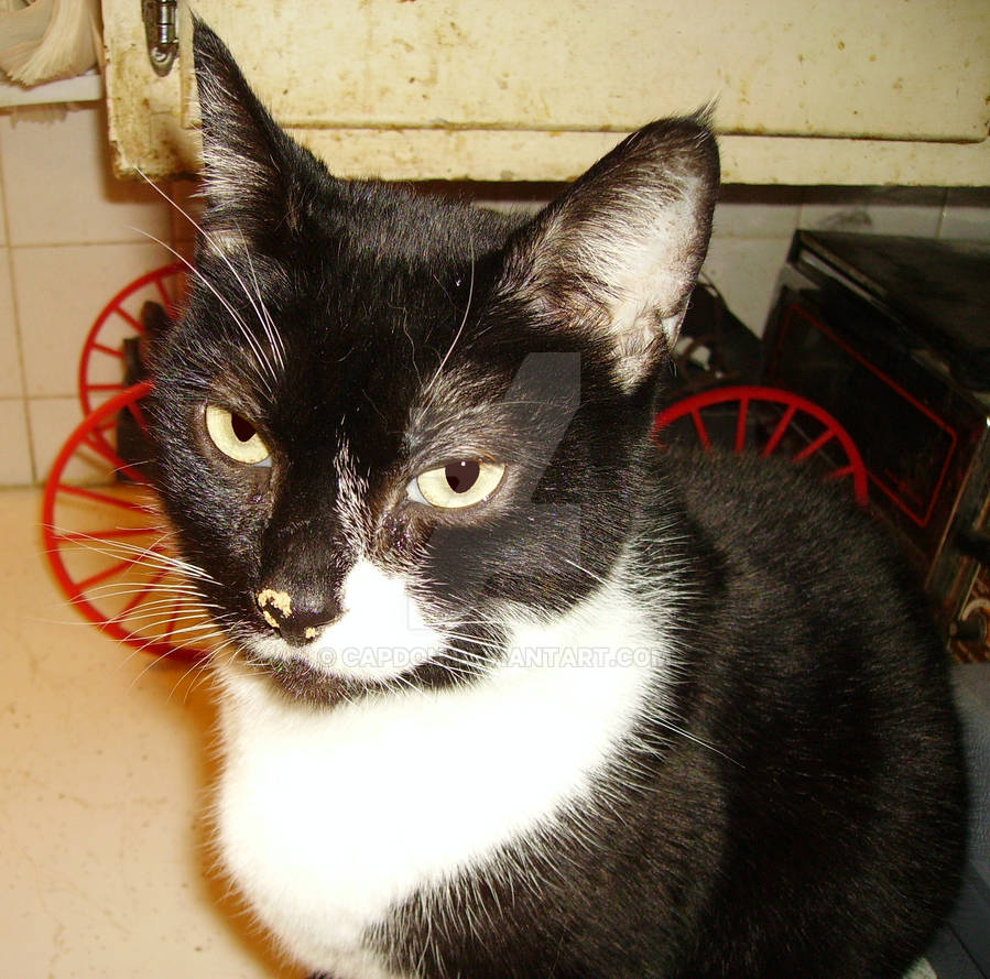 BP by CapDon on DeviantArt