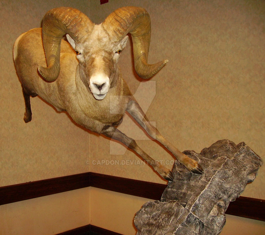 When goats FLY! by CapDon on DeviantArt