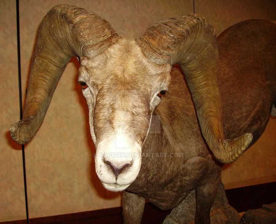 666 by CapDon on DeviantArt