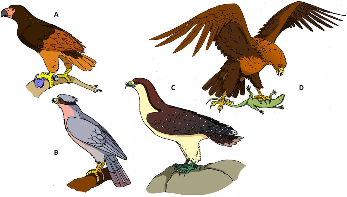 Speculative Raptors by alfecha on DeviantArt