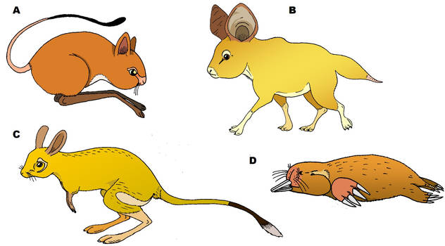 Future rodents (II): North Africa and Middle East