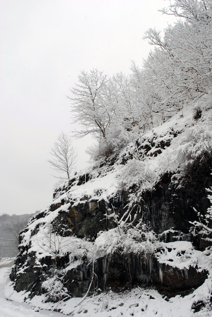 Snowy Cliffside