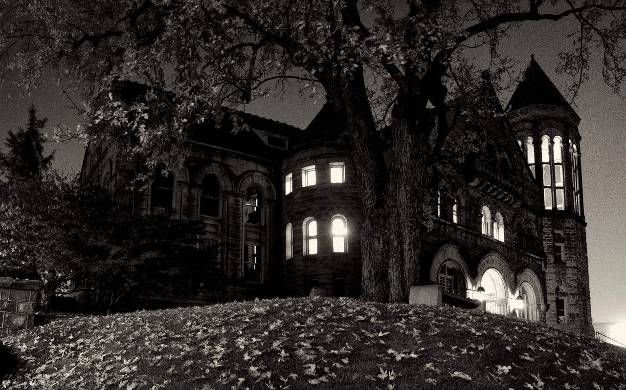 Stewart Hall Night