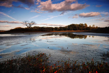 Marshland Sunset