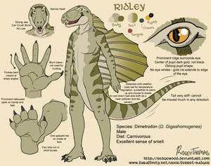 Dimetrodon Gigashomogenes - Anthro Reference