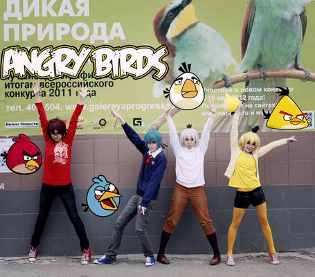 Angry Birds!!!