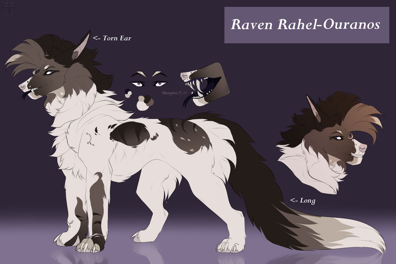 Raven Reference | (P) by Alvoraki on DeviantArt