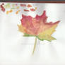 Autumn leaf drawing