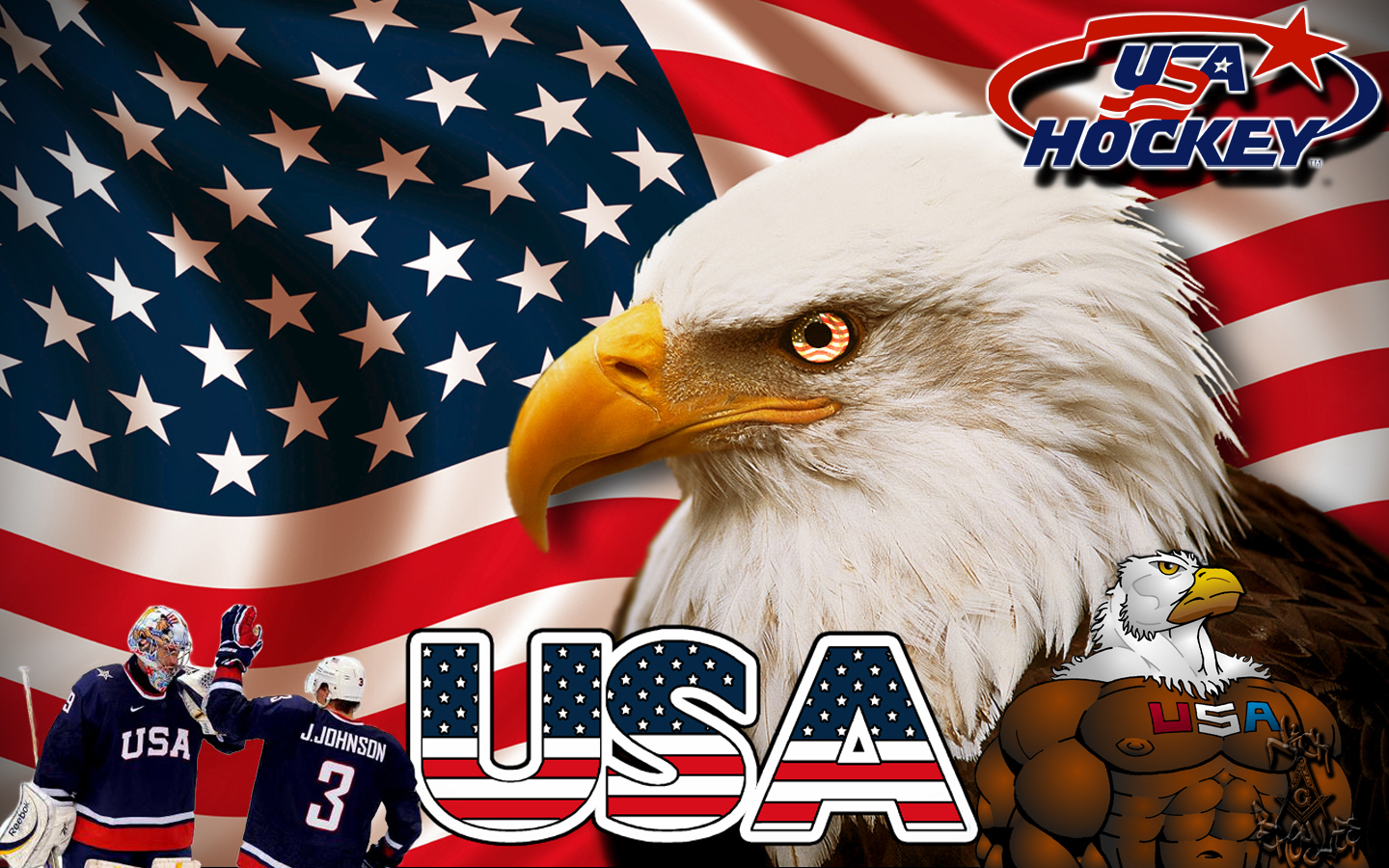 Team USA Hockey 2010