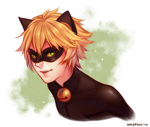 Chat Noir