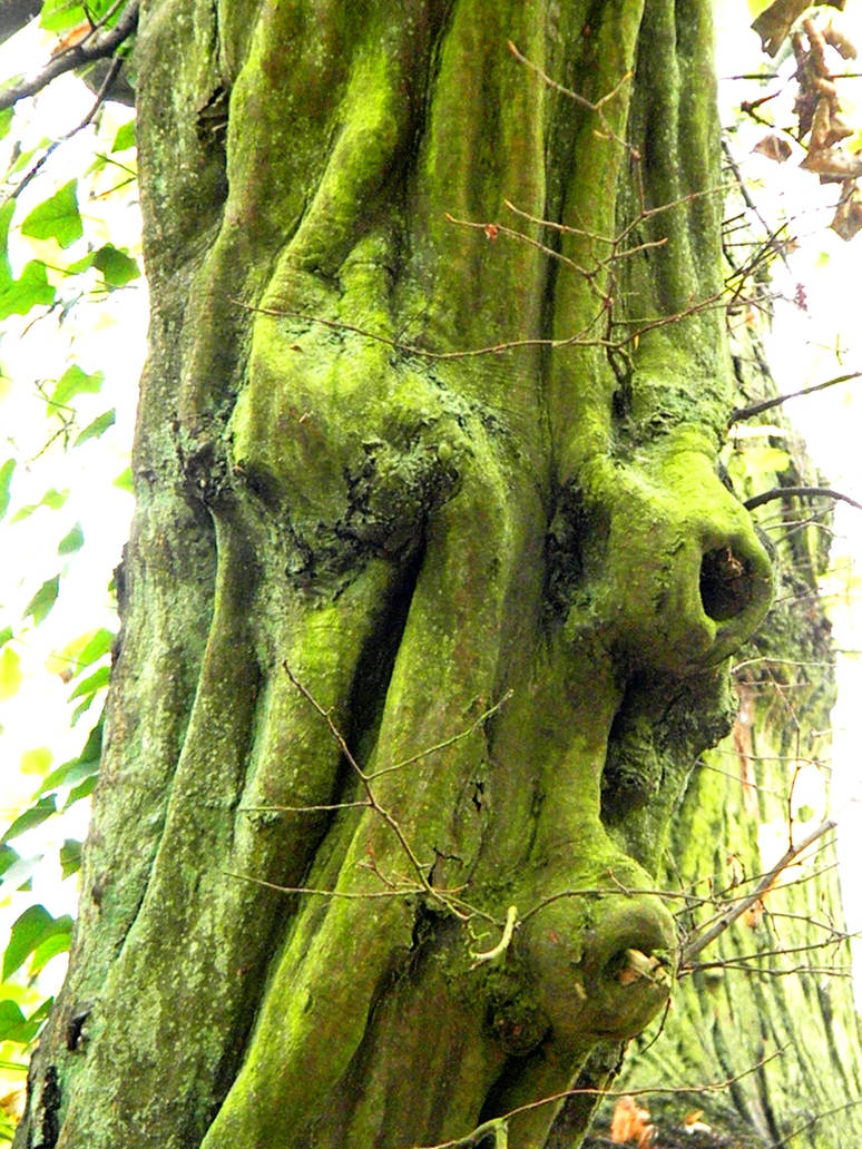 Squiggle Tree Squiggle Tree by irshprncsk on DeviantArt