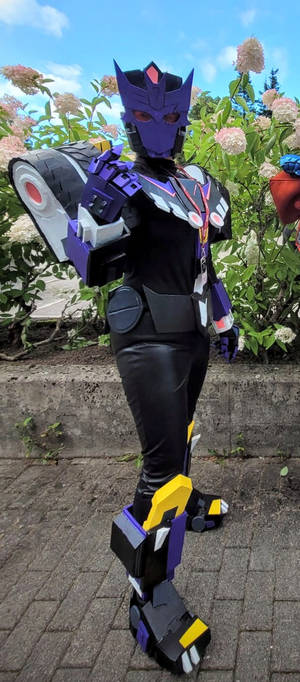 Tarn Cosplay