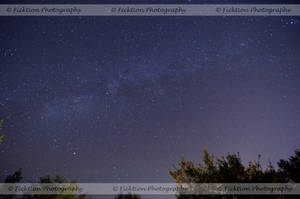 Stars Over Alachua