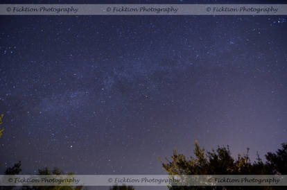 Stars Over Alachua