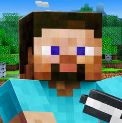 Steve PFP